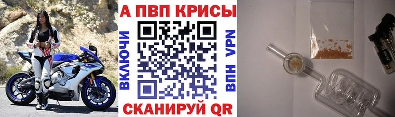 площадка официальный сайт  Шарья  APVP СК КРИС 