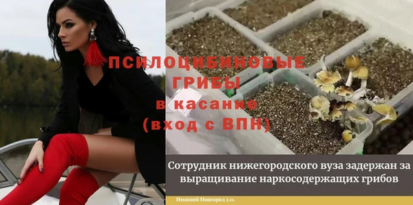 круглые Алексин