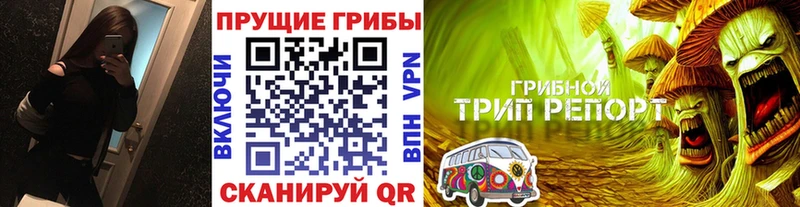 Псилоцибиновые грибы мицелий  Шарья 